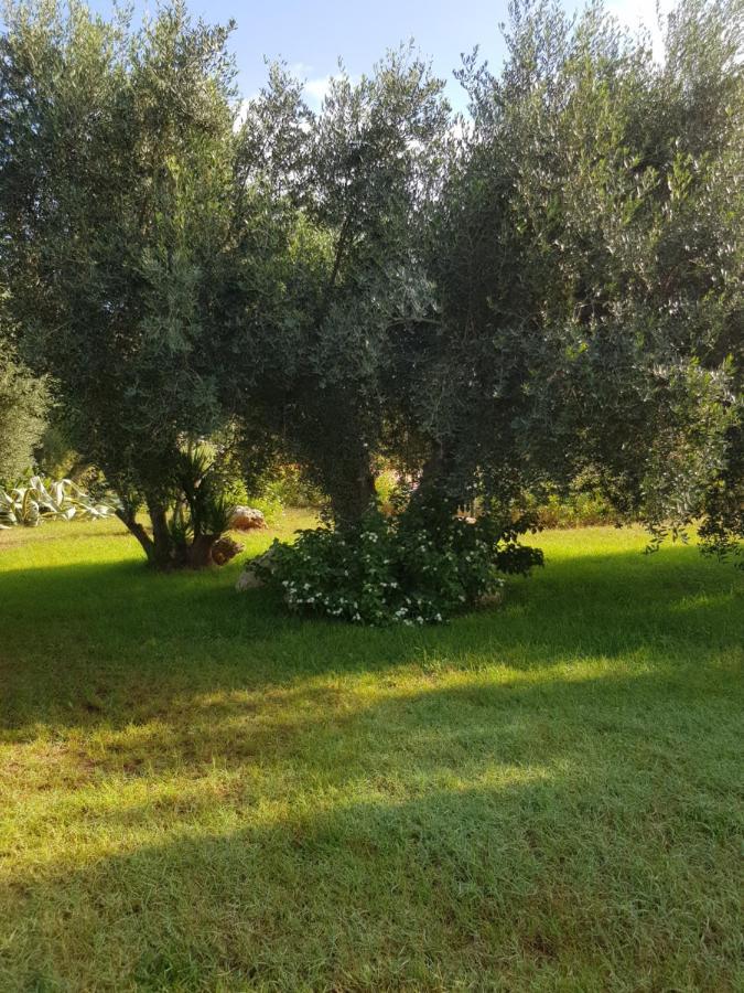Bed and Breakfast Relais D 'Itria Grottaglie Exterior foto